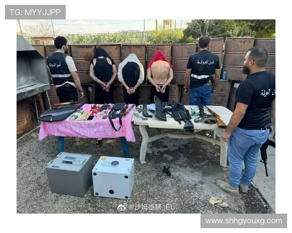 惊险一幕 罗马五名窃贼入室盗窃帕瓦尔家被妻子撞见逃窜终被抓获